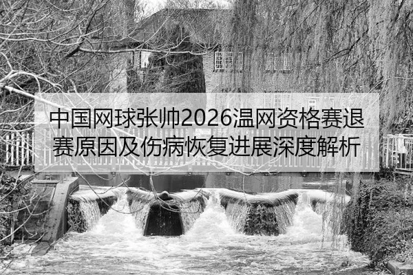 中国网球张帅2026温网资格赛退赛原因及伤病恢复进展深度解析