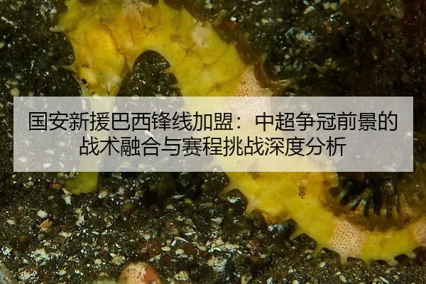 guo-an-xin-yuan-ba-xi-feng-xian-jia-meng-zhong-chao-zheng-guan-qian-jing-de-zhan-shu-rong-he-yu-sai-cheng-tiao-zhan-2-222.jpg